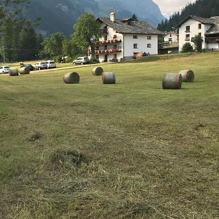 Flora Alpina Apartments-Residenza Verdebjo Gressoney-Saint-Jean Bagian luar foto