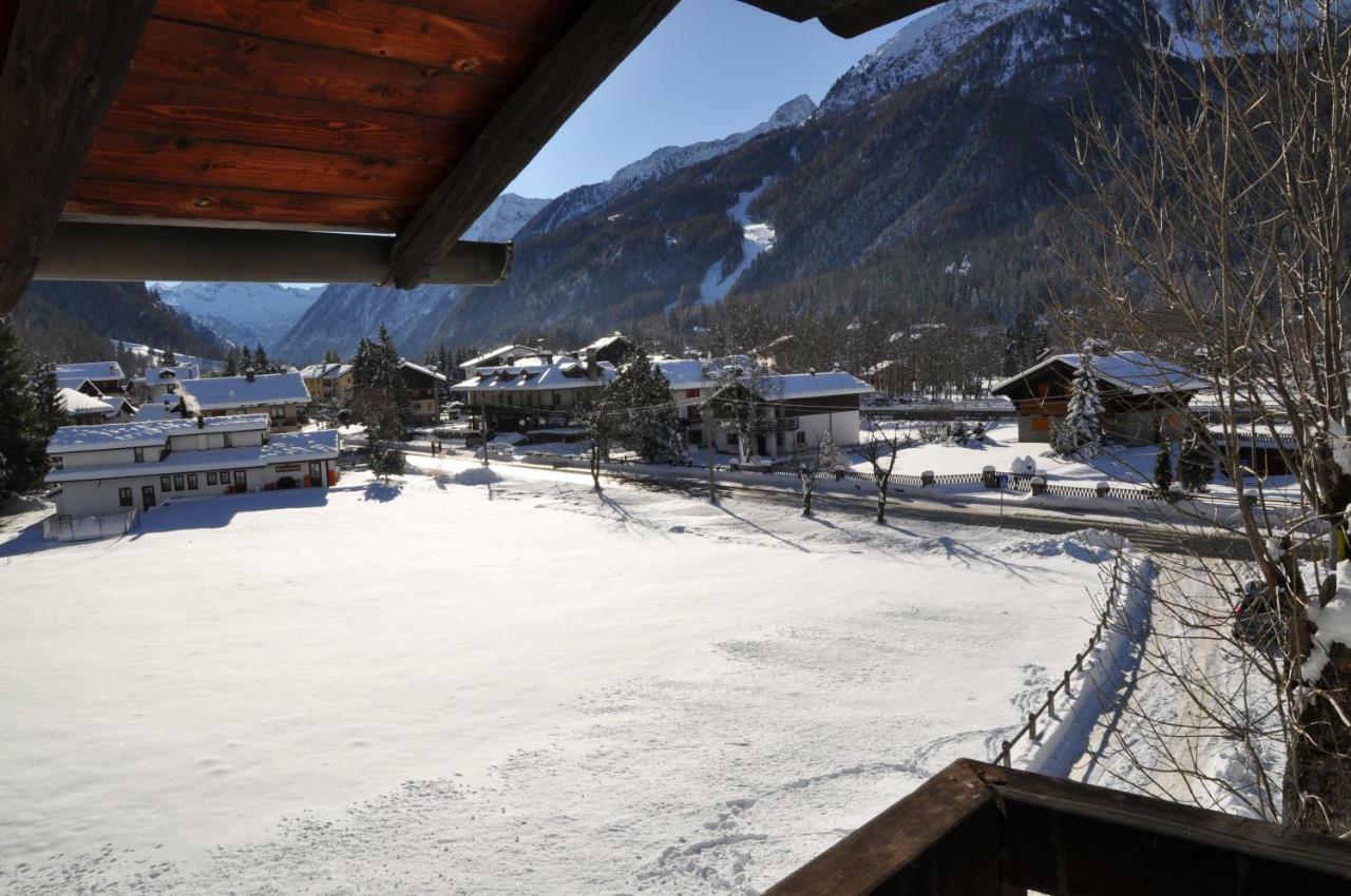 Flora Alpina Apartments-Residenza Verdebjo Gressoney-Saint-Jean Bagian luar foto