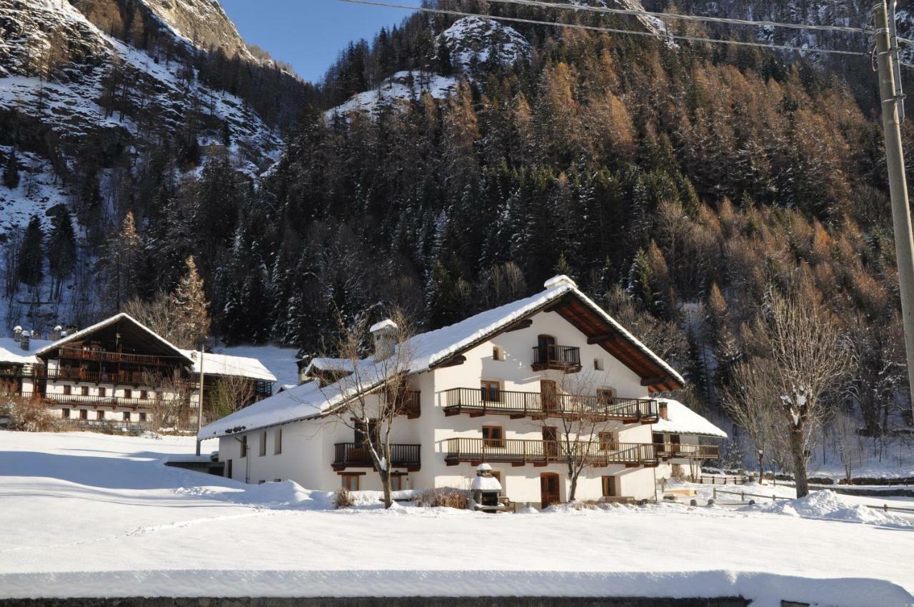 Flora Alpina Apartments-Residenza Verdebjo Gressoney-Saint-Jean Bagian luar foto